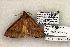  ( - 1401-020603-TX)  @13 [ ] Copyright (2008) Unspecified Research Collection of Robert J. Borth