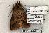  ( - 1412-040604-TX)  @13 [ ] Copyright (2008) Unspecified Research Collection of Robert J. Borth