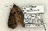 ( - 1415-020603-TX)  @13 [ ] Copyright (2008) Unspecified Research Collection of Robert J. Borth