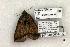  ( - 1416-050604-TX)  @13 [ ] Copyright (2008) Unspecified Research Collection of Robert J. Borth