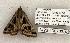  ( - 1423-190703-AZ)  @13 [ ] Copyright (2008) Unspecified Research Collection of Robert J. Borth