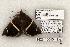  ( - 1428-160504-TX)  @14 [ ] Copyright (2008) Unspecified Research Collection of Robert J. Borth