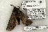  ( - 1435-300503-TX)  @13 [ ] Copyright (2008) Unspecified Research Collection of Robert J. Borth