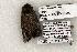  ( - 1436-310503-TX)  @13 [ ] Copyright (2008) Unspecified Research Collection of Robert J. Borth
