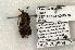  ( - 1438-200504-TX)  @14 [ ] Copyright (2008) Unspecified Research Collection of Robert J. Borth