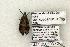  ( - 1445-250503-OK)  @12 [ ] Copyright (2008) Unspecified Research Collection of Robert J. Borth