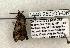  ( - 1448-250503-OK)  @12 [ ] Copyright (2008) Unspecified Research Collection of Robert J. Borth