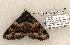  ( - 1339-230603-AZ)  @14 [ ] Copyright (2008) Unspecified Research Collection of Robert J. Borth