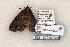  ( - 1362-150599-WI)  @13 [ ] Copyright (2008) Unspecified Research Collection of Robert J. Borth
