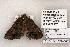  ( - 1363-160598-WI)  @13 [ ] Copyright (2008) Unspecified Research Collection of Robert J. Borth