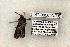  ( - 1447-080603-TX)  @12 [ ] Copyright (2008) Unspecified Research Collection of Robert J. Borth