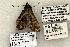  ( - 1512-CO1-06)  @12 [ ] Copyright (2008) Unspecified Research Collection of Robert J. Borth