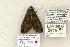  ( - 1522-CO1-06)  @13 [ ] Copyright (2008) Unspecified Research Collection of Robert J. Borth