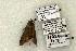  ( - 1525-CO1-06)  @13 [ ] Copyright (2008) Unspecified Research Collection of Robert J. Borth