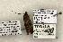  ( - 1527-CO1-06)  @13 [ ] Copyright (2008) Unspecified Research Collection of Robert J. Borth
