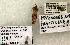  ( - 1547-CO1-06)  @13 [ ] Copyright (2008) Unspecified Research Collection of Robert J. Borth
