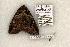  ( - 1155-160595-WI)  @13 [ ] Copyright (2008) Unspecified Research Collection of Robert J. Borth