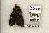  ( - 1156-160595-WI)  @13 [ ] Copyright (2008) Unspecified Research Collection of Robert J. Borth