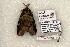  ( - 1157-270596-WI)  @13 [ ] Copyright (2008) Unspecified Research Collection of Robert J. Borth