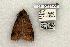  ( - 1158-180595-WI)  @13 [ ] Copyright (2008) Unspecified Research Collection of Robert J. Borth