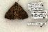  ( - 1161-260504-TX)  @13 [ ] Copyright (2008) Unspecified Research Collection of Robert J. Borth