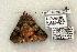  ( - 1381-260503-TX)  @13 [ ] Copyright (2008) Unspecified Research Collection of Robert J. Borth