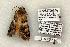  ( - 1383-100603-TX)  @13 [ ] Copyright (2008) Unspecified Research Collection of Robert J. Borth