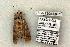  ( - 1384-130603-TX)  @12 [ ] Copyright (2008) Unspecified Research Collection of Robert J. Borth