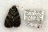  ( - 1385-110602-OK)  @13 [ ] Copyright (2008) Unspecified Research Collection of Robert J. Borth