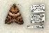  ( - 1387-120603-TX)  @13 [ ] Copyright (2008) Unspecified Research Collection of Robert J. Borth