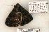  ( - 1048-300406-FL)  @12 [ ] Copyright (2008) Unspecified Research Collection of Robert J. Borth