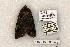  ( - 1163-160595-WI)  @13 [ ] Copyright (2008) Unspecified Research Collection of Robert J. Borth