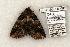  ( - 1164-160595-WI)  @13 [ ] Copyright (2008) Unspecified Research Collection of Robert J. Borth