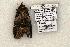  ( - 1165-250596-WI)  @13 [ ] Copyright (2008) Unspecified Research Collection of Robert J. Borth