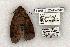  ( - 1166-110595-WI)  @13 [ ] Copyright (2008) Unspecified Research Collection of Robert J. Borth