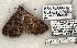  ( - 1169-090603-TX)  @13 [ ] Copyright (2008) Unspecified Research Collection of Robert J. Borth