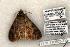  ( - 1170-110603-TX)  @13 [ ] Copyright (2008) Unspecified Research Collection of Robert J. Borth