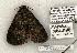  ( - 1172-030603-TX)  @13 [ ] Copyright (2008) Unspecified Research Collection of Robert J. Borth