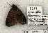  ( - 1174-090602-OK)  @13 [ ] Copyright (2008) Unspecified Research Collection of Robert J. Borth