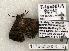  ( - 1175-030603-TX)  @13 [ ] Copyright (2008) Unspecified Research Collection of Robert J. Borth