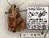  ( - 1177-260503-TX)  @13 [ ] Copyright (2008) Unspecified Research Collection of Robert J. Borth