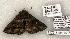  ( - 1179-310503-TX)  @13 [ ] Copyright (2008) Unspecified Research Collection of Robert J. Borth