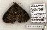  ( - 1180-300503-TX)  @13 [ ] Copyright (2008) Unspecified Research Collection of Robert J. Borth