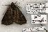  ( - 1182-070602-OK)  @13 [ ] Copyright (2008) Unspecified Research Collection of Robert J. Borth