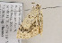  ( - TLMF Lep 20191)  @13 [ ] CreativeCommons - Attribution Non-Commercial Share-Alike (2016) Peter Huemer Tiroler Landesmuseum