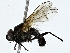  ( - BIOUG91310-F04)  @11 [ ] CreativeCommons - Attribution (2022) CBG Photography Group Centre for Biodiversity Genomics