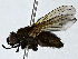  ( - BIOUG91310-G12)  @11 [ ] CreativeCommons - Attribution (2022) CBG Photography Group Centre for Biodiversity Genomics