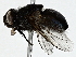  ( - BIOUG91310-H03)  @11 [ ] CreativeCommons - Attribution (2022) CBG Photography Group Centre for Biodiversity Genomics