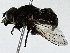  ( - BIOUG91310-H11)  @11 [ ] CreativeCommons - Attribution (2022) CBG Photography Group Centre for Biodiversity Genomics