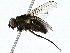  ( - BIOUG91349-E03)  @11 [ ] CreativeCommons - Attribution (2022) CBG Photography Group Centre for Biodiversity Genomics